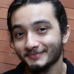 Bryan Domani