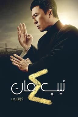 Ip Man 4: The Finale