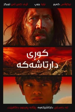 The Carpenter's Son